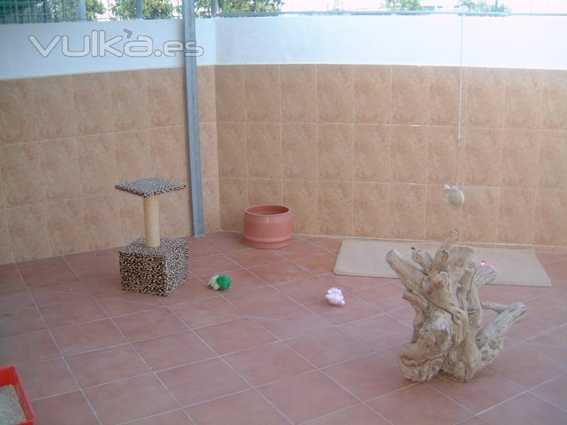 PATIO CERRADO CON MALLA PARA LAS HABITACIONES DE GATOS