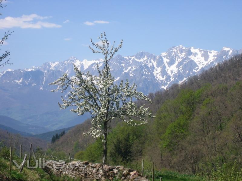 Picos de Europa desde Cahecho