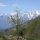 Picos de Europa desde Cahecho