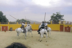 Espectáculo ecuestre