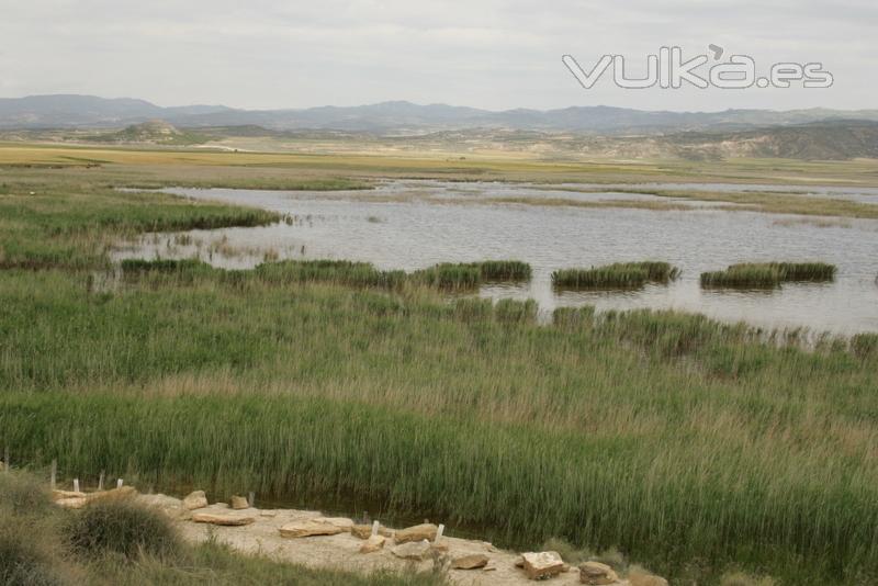 Laguna de Pitillas, espacio natural observacion aves