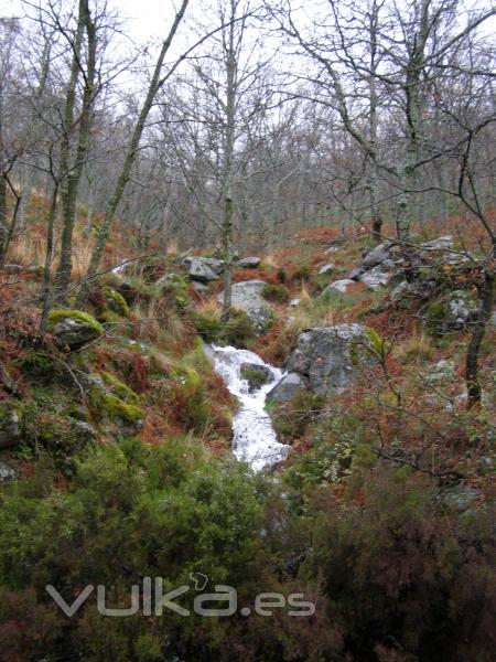 Actividades en la naturaleza