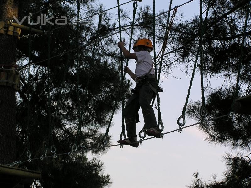 Multiaventura en nuestro parque arbreo, Valle delJerte Parque Aventura