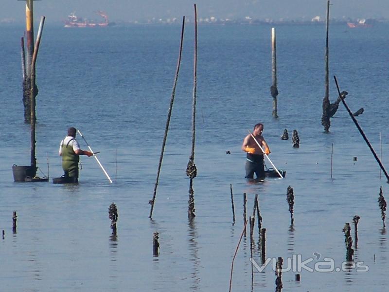 TRABAJO EN LOS PARQUES DE CULTIVO DE CARRIL