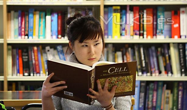 Estudiante en la biblioteca