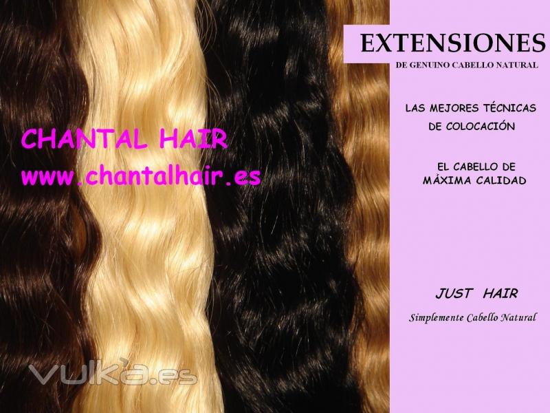 PELO NATURAL REMY www.chantalhair.es