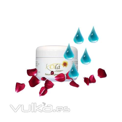 Serie Olá Natur: Crema hidratante para la piel de cara contiene un alto porcentaje del aceite de germen. Áloe Vera ...