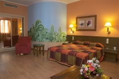 Foto 66 hotel en Cádiz - Hotel Senator Cadiz spa