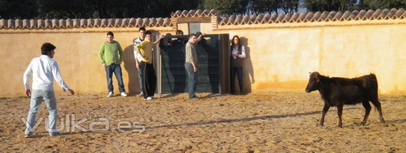 Fiesta capea que hemos organizado en el Colegio Mayor Peafiel para celebrar la Semana Grande del Colegio Mayor