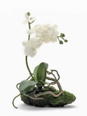 Orquidea artificial con cepellon oasisdecorcom  orquideas artificiales de calidad