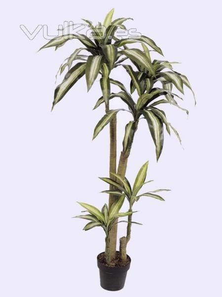 dracena artificial. oasisdecor.com dracenas artificiales de calidad