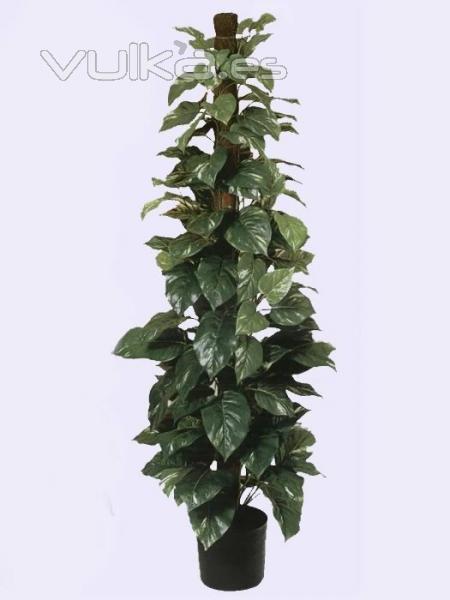 pothos artificial.oasisdecor.com pothos artificiales de calidad