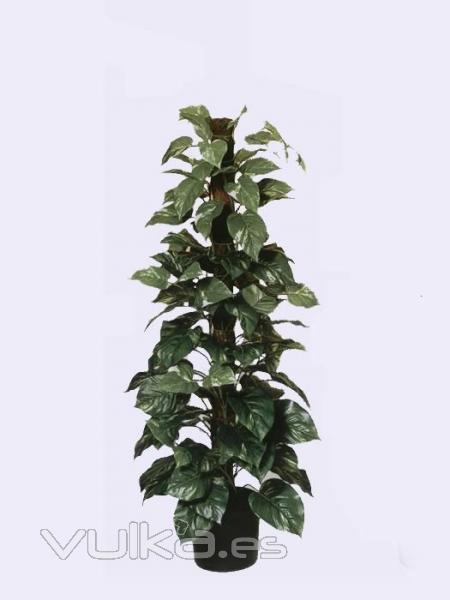 pothos artificial.oasisdecor.com pothos artificiales de calidad