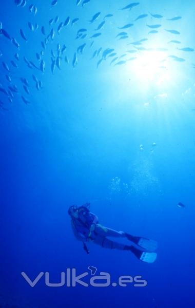 DIVE CENTER CORRALEJO, S. L.