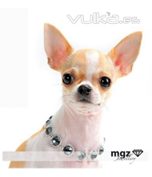 Resalta la belleza de tu perro con este collar en metal cromado  con cristales tallados imitando circonitas y ...
