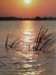 Delta del danubio - rumania