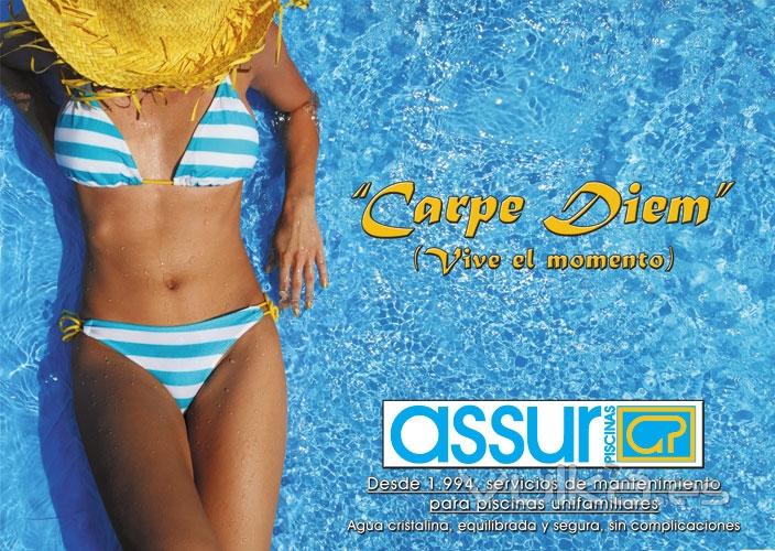 Assur Piscina - Desde 1994 