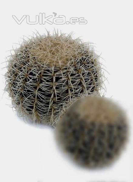 cactus artificial.oasisdecor.com cactus artificiales de calidad