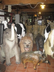 Animales poliester