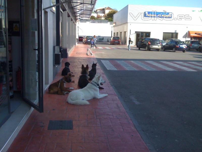 ACOSTADO COON DISTRACCION EN LA PUERTA DE  UN ESTABLECIMIENTO