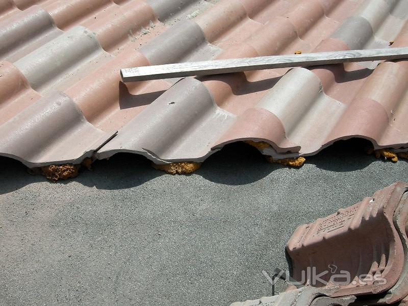 Instalacin y reparacin de tejados