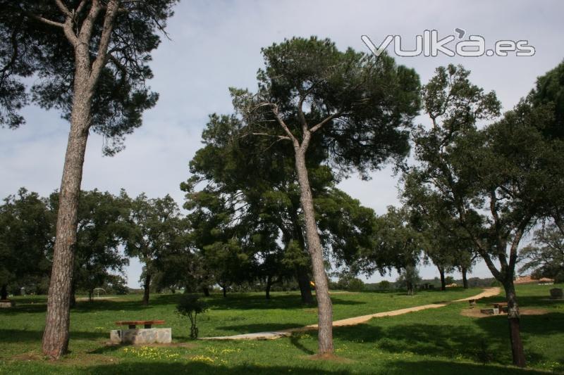 Zona Recreativa El Pinar de Las Casillas - Los Barrios - Cortijillos