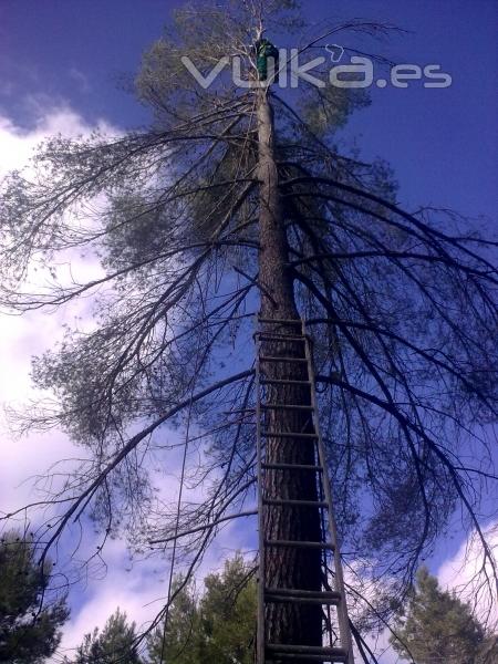 DECO-TORRES JARDINES