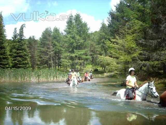 Campamentos de verano3