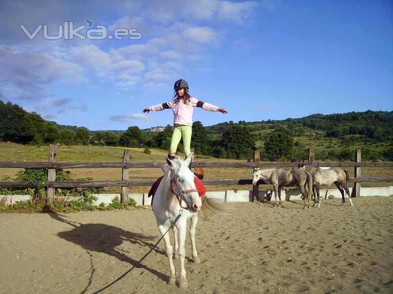 Campamentos de verano: Pasin