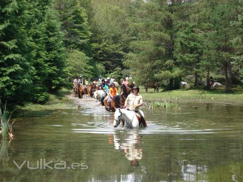 Campamentos de verano: Aventura a caballo