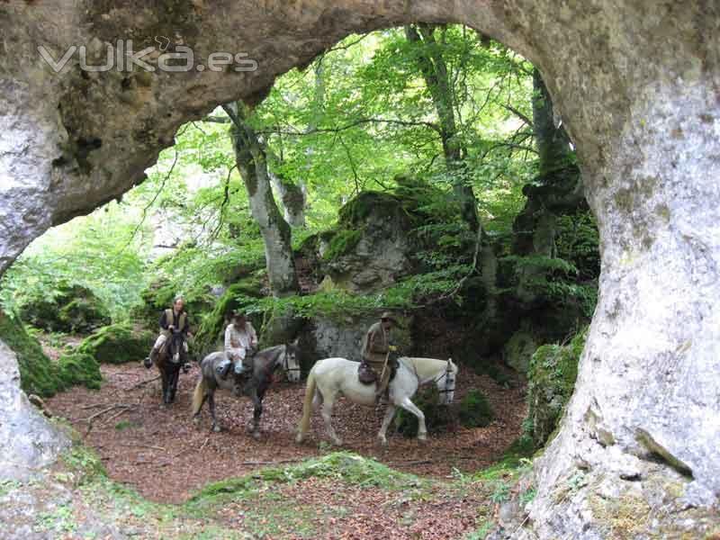 Paseo a caballo: Disfrutarás a lomos de un caballo