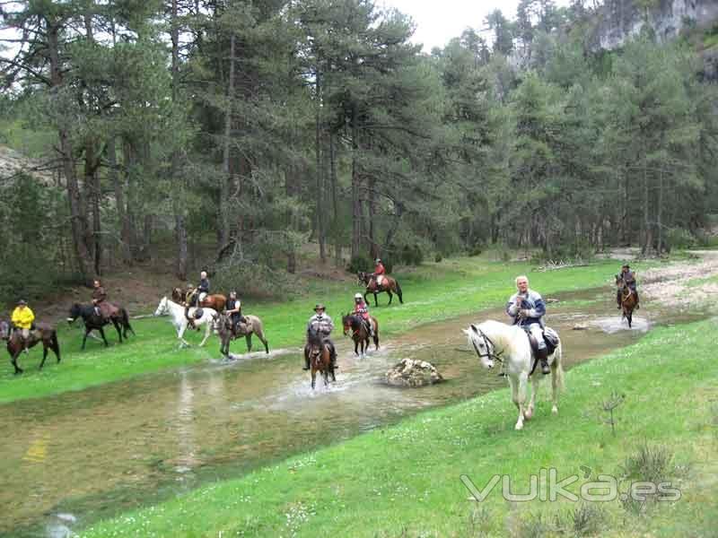 Paseo a caballo: Aventuras