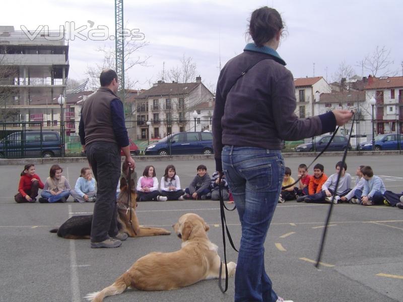 CHARLAS EN COLEGIOS 