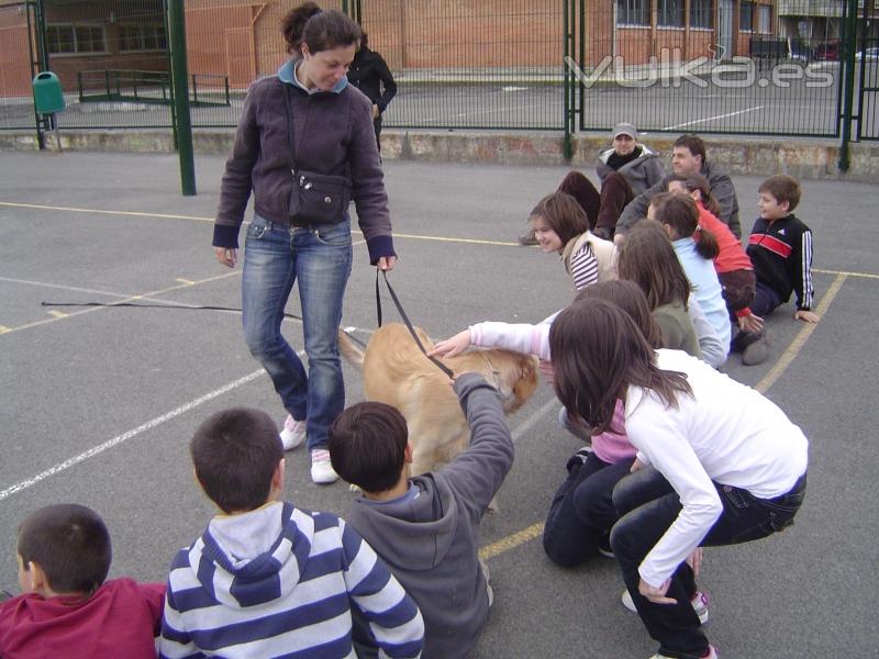 ETOLCANIN Educacin Canina,Adiestramiento y Etologia Aplicada