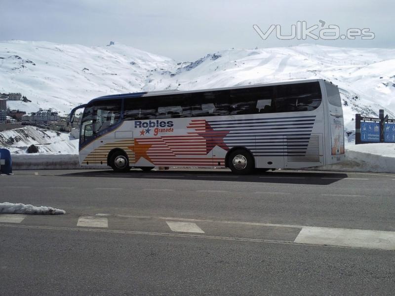 Daf Califa en Sierra Nevada.