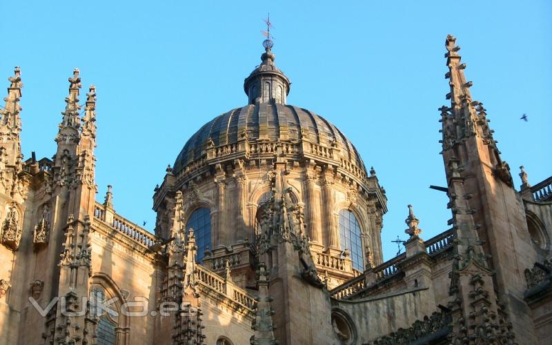 Catedral de Salamanca (incluida en las visitas)