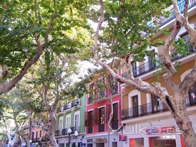 marques de campo, Denia