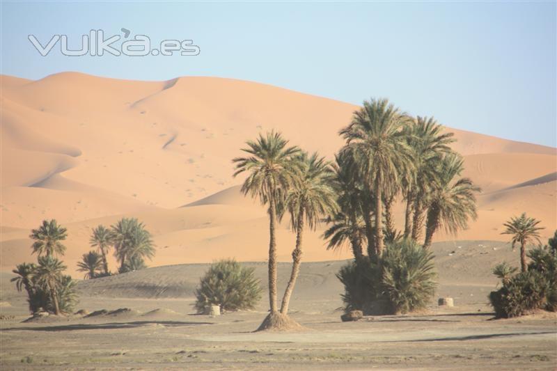 Dunas de Erg Chebbi (Marruecos)