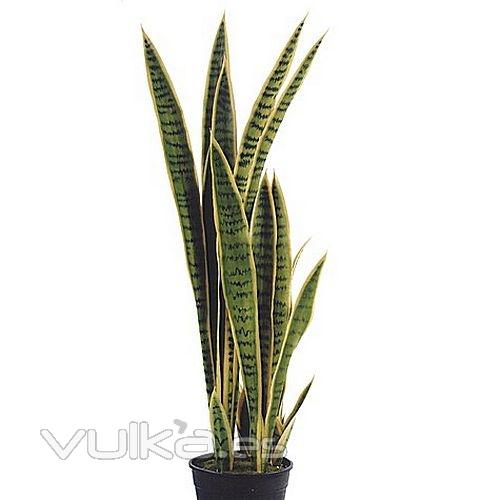 Plantas artificiales Sanseveria