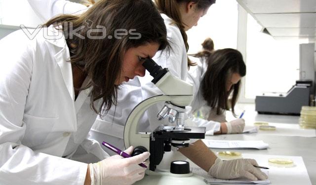 Alumnas en el laboratorio localizado en el sótano de Padre Arrupe Hall