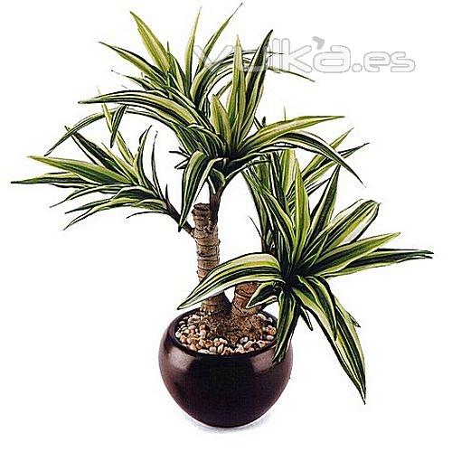 Plantas artificiales Dracaena