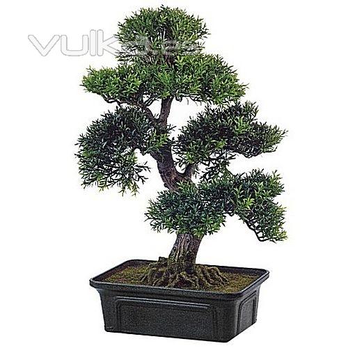 Bonsais artificiales Bonsai té