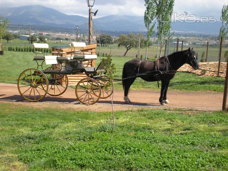 Carruaje a caballo