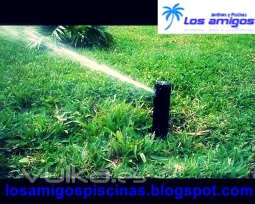 oferta mantenimiento integral de jardines piscinas y limpieza (15 dias gratis)visita nuestro web o llamanos