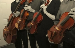 Foto 14 músicos en Asturias - Cuarteto Stradivari