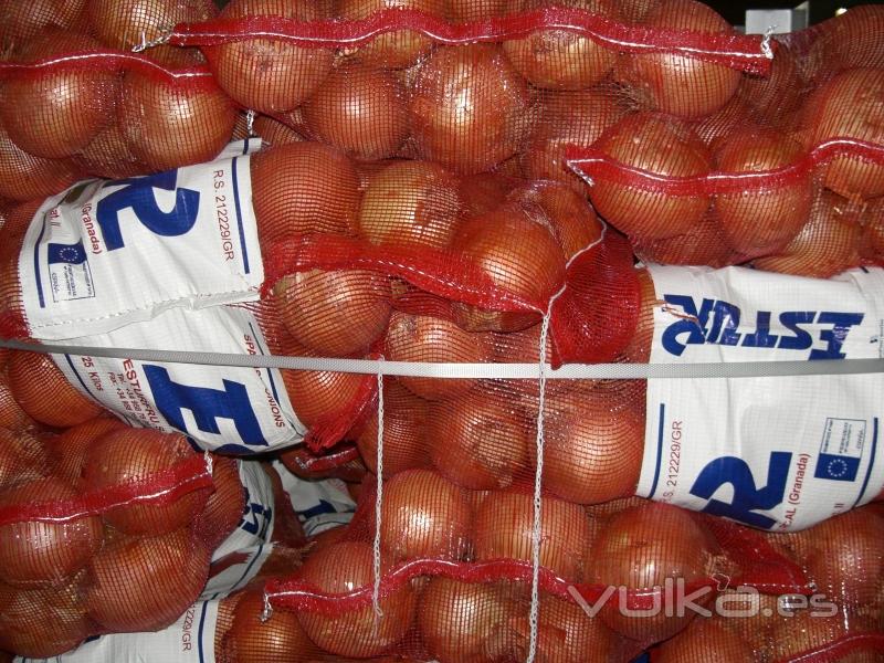 CEBOLLA  GRANO EN SACO DE 25KG