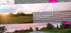 Nueva web realizada por taos para nuestro cliente avencis