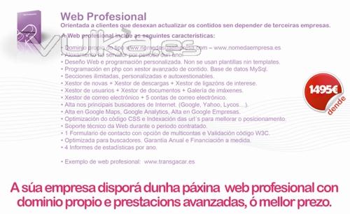 Promocin web promocional