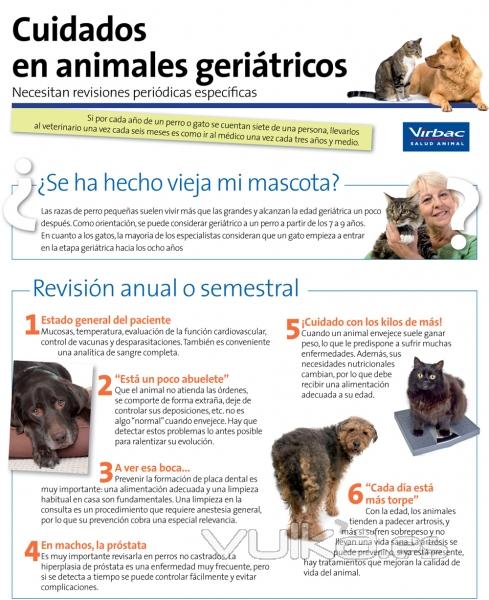 CLINICA VETERINARIA  MADRID  CENTRO VETERINARIO  ASISTENCIA A DOMICILIO  Chamartín Prosperidad Ciuda