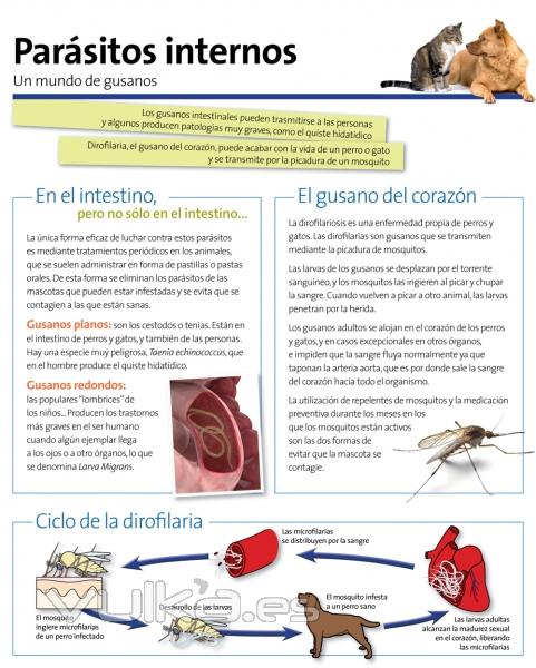 CLINICA VETERINARIA  MADRID  CENTRO VETERINARIO  ASISTENCIA A DOMICILIO  Chamartn Prosperidad Ciuda